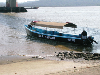 Zuari River boat trip