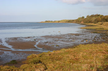 Budle Bay with the tide approaching fast  David Mason