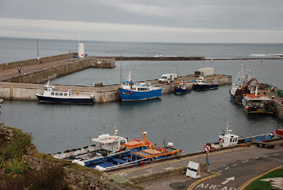 Seahouses Harbour from our hotel  Dave Betts