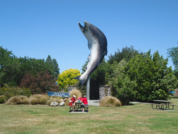 Local park at Rakaia, nearly 3 hours south of Kaikoura