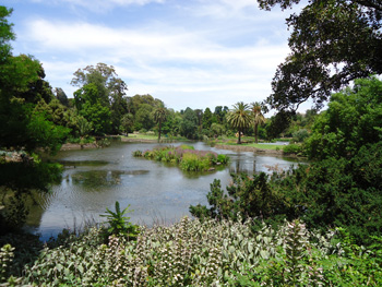 Melbourne Botanic Gardens