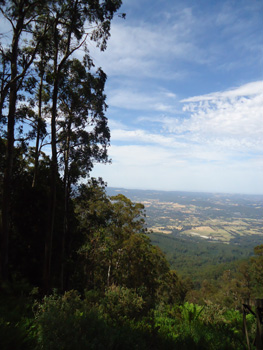 View from a clearing near Mount Donna Buang