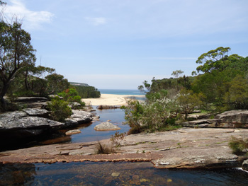 Wattamolla Beach in the Royal National Park