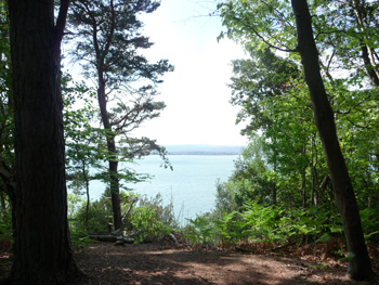 View from cliff-top on Brownsea Island