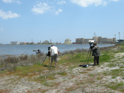 Birding at Pomorie Lake