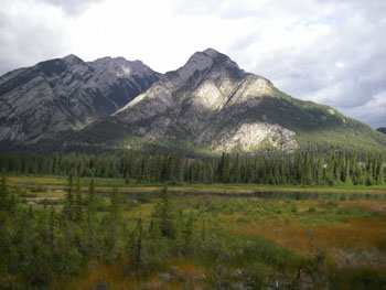 Banff near the Cave and Basin trail