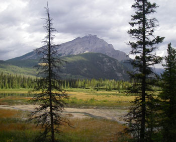 Cave & Basin trail Banff