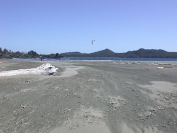 Chesterman's Beach - another long stretch of sand with no birds