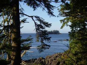 View from our balcony at the Middle Beach Lodge Tofino