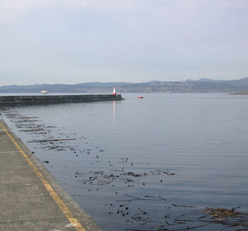 Ogden Point breakwater