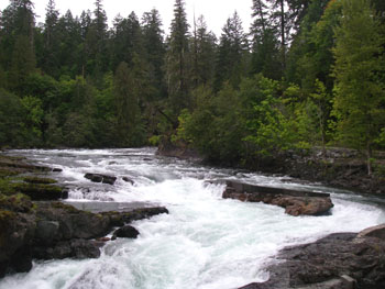 Stamp Falls