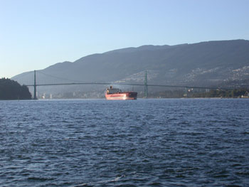 Lion's Gate Bridge Stanley Park