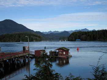 View from Mini Motel Tofino