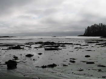 Tofino shore