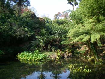 Lost Gardens of Heligan