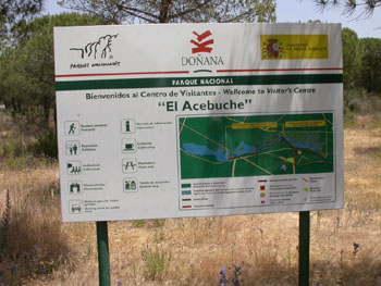 El Acerbuche