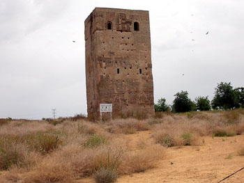 Roller nesting tower