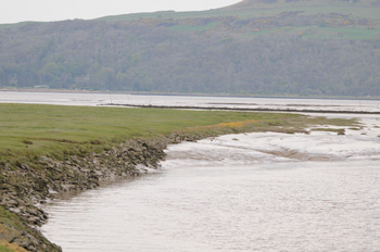 Wigtown LNR from the hide