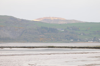 Looking across the bay from Wigtown LNR