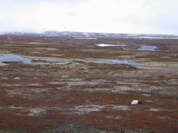 Fairly typical upland Fells south of Vardo