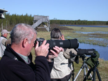 Lake adjacent to the one behind the Hotel at Kuusamo