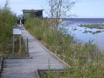 Hide at Liminganlahti Nature Reserve