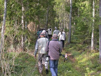 Heading off to the woods to look for owls