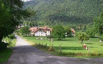 Apartment complex from the approach road