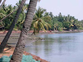 Morjim beach looking up river