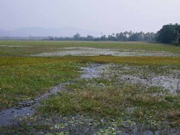 Velim Lake