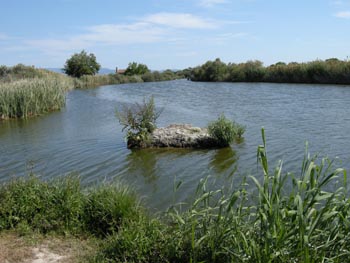 Inland Lake