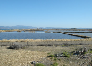 Polichnitou Salt Works