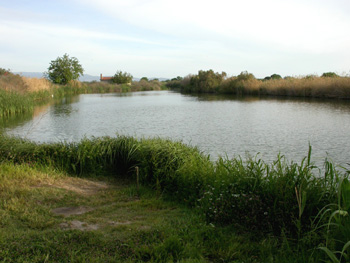 Inland Lake