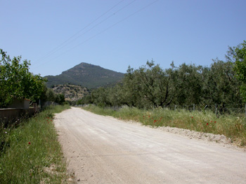 Potamia Valley