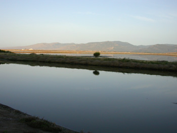 Salt Pans