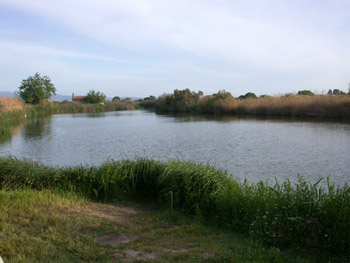 Inland Lake