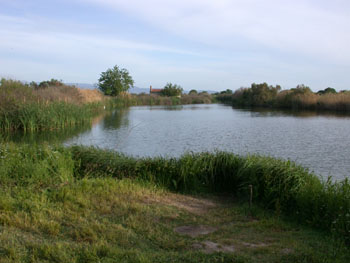 Inland Lake