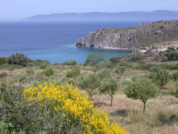 View from Petra/Molivos lay-by