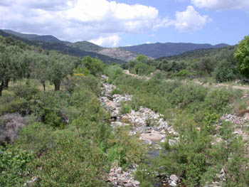 Potamia Valley