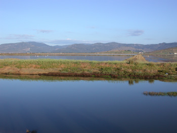 Salt Pans