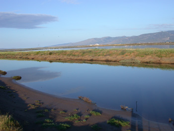 Kalloni Salt Pans