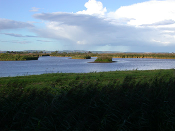 Lagoons at Blacktoft Sands RSPB Reserve