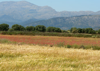 View from the road to Depuradora - click for larger image