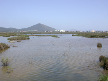 View from Bishop 1 Hide