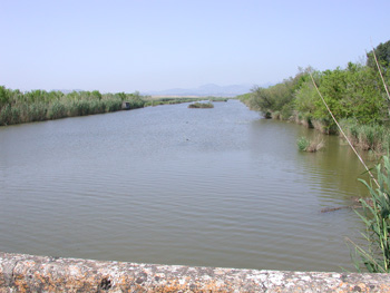 Gran Canal S'Albufera