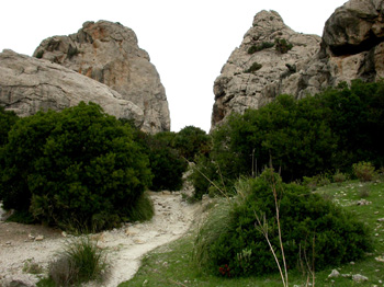 Bocquer Valley