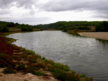 Son Serra de Marina