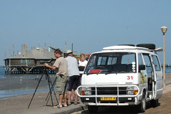 Birding at Walvis Bay