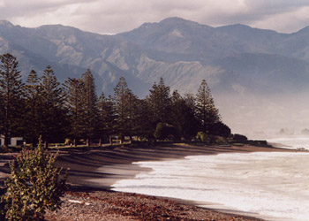 Kaikoura beach