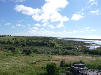 Our patch